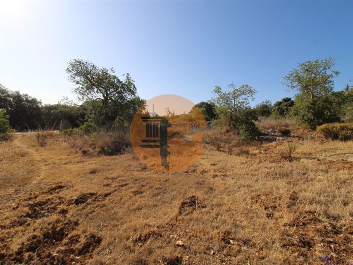 Image No.2-Terrain à vendre à Faro City