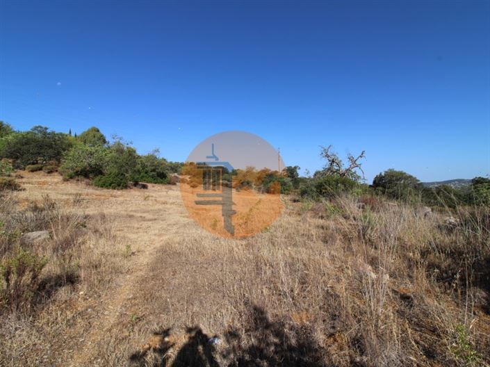 Image No.15-Terrain à vendre à Faro City