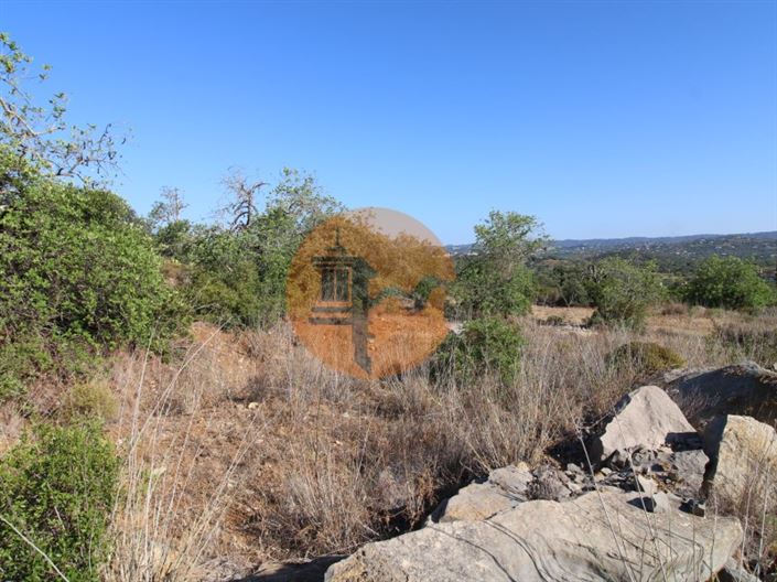 Image No.4-Terrain à vendre à Faro City