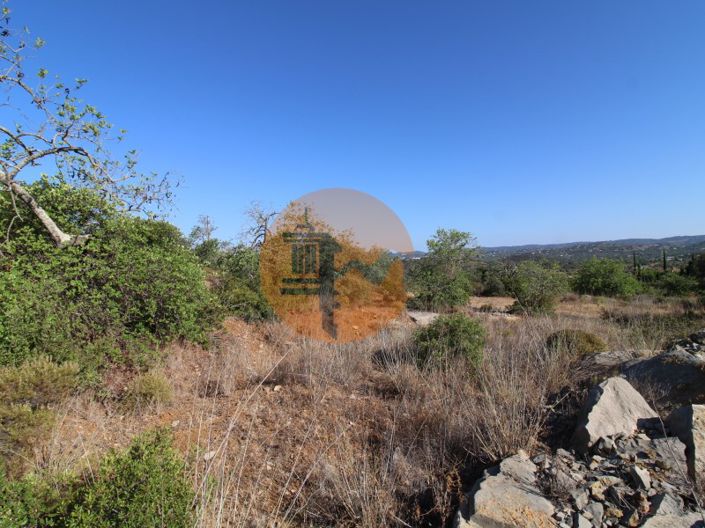 Image No.3-Terrain à vendre à Faro City