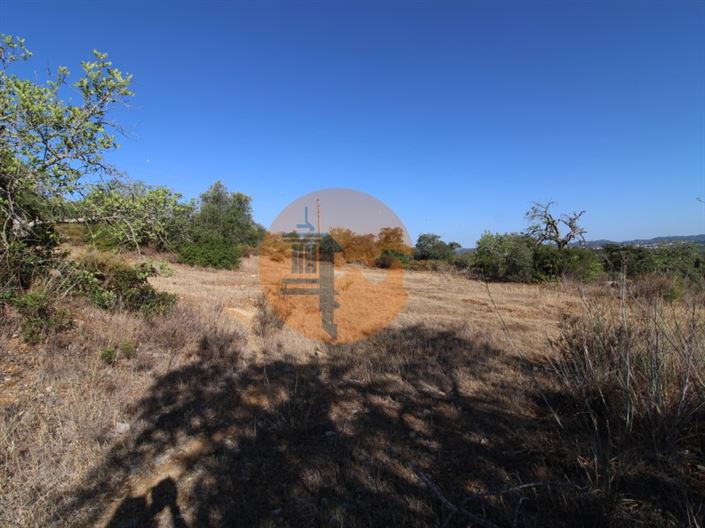 Image No.9-Terrain à vendre à Faro City