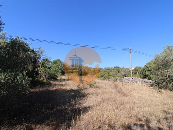 Image No.8-Terrain à vendre à Faro City