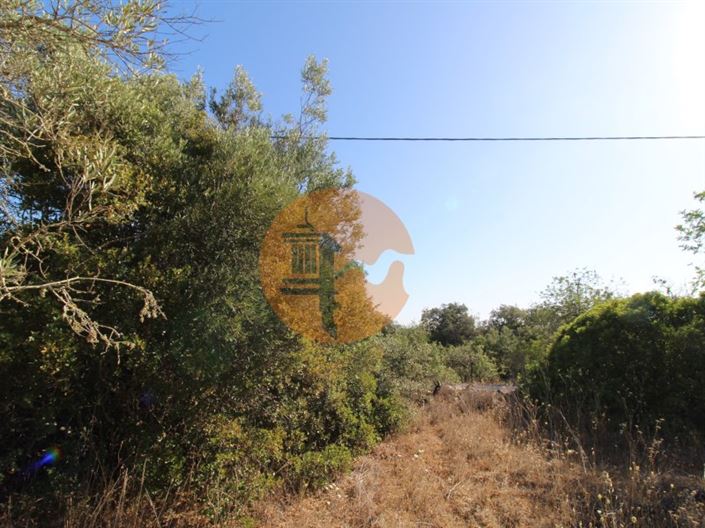 Image No.6-Terrain à vendre à Faro City