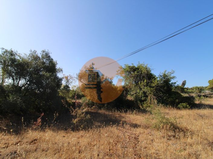 Image No.5-Terrain à vendre à Faro City
