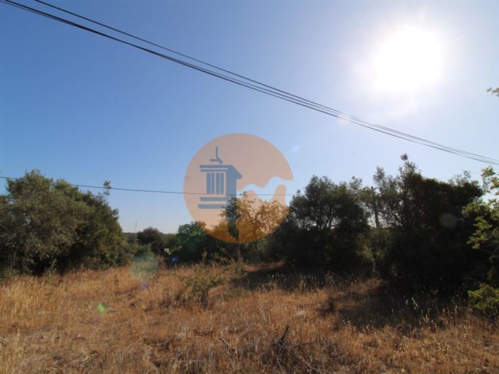 Image No.11-Terrain à vendre à Faro City