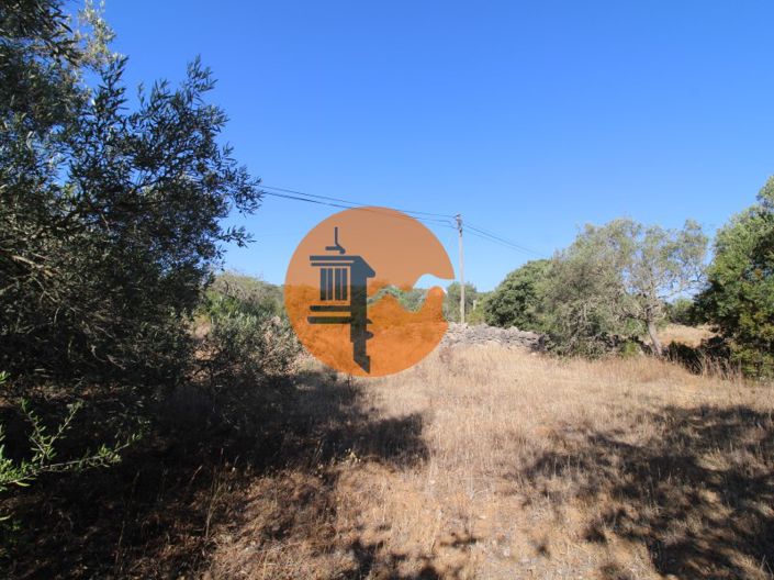 Image No.9-Terrain à vendre à Faro City