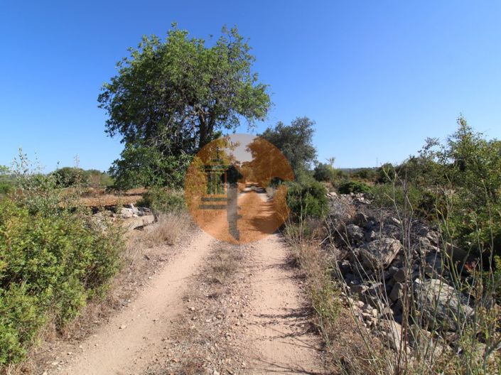 Image No.10-Terrain à vendre à Faro City