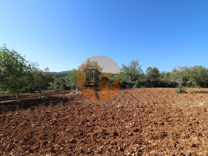 Image No.11-Terrain à vendre à Faro City