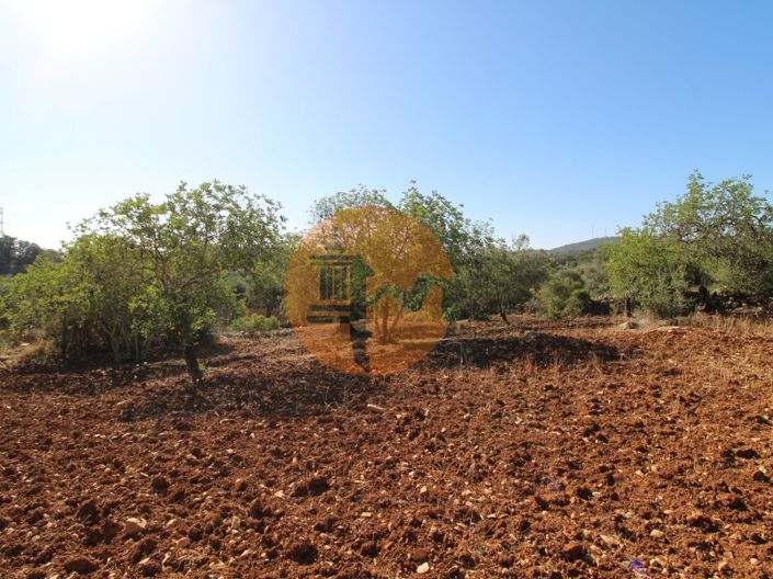 Image No.12-Terrain à vendre à Faro City