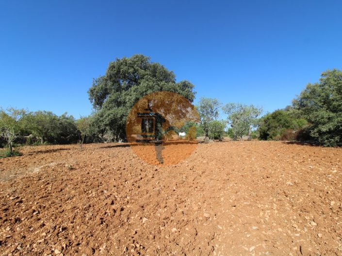 Image No.13-Terrain à vendre à Faro City