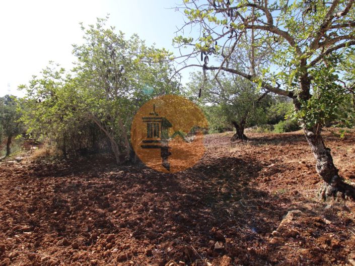 Image No.14-Terrain à vendre à Faro City