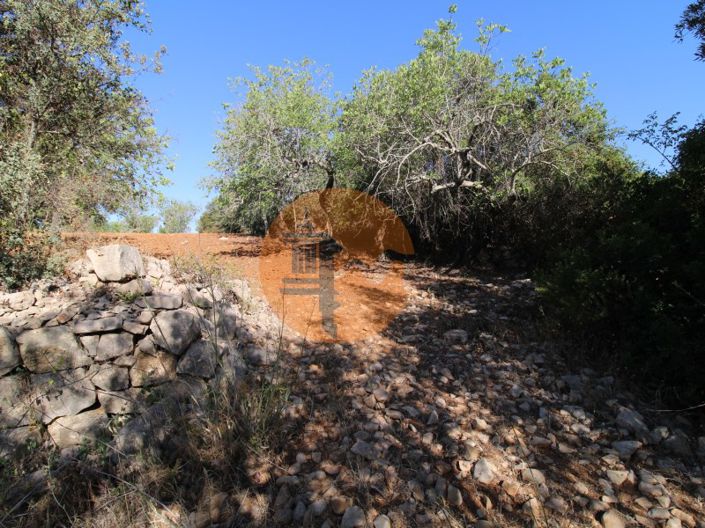 Image No.15-Terrain à vendre à Faro City