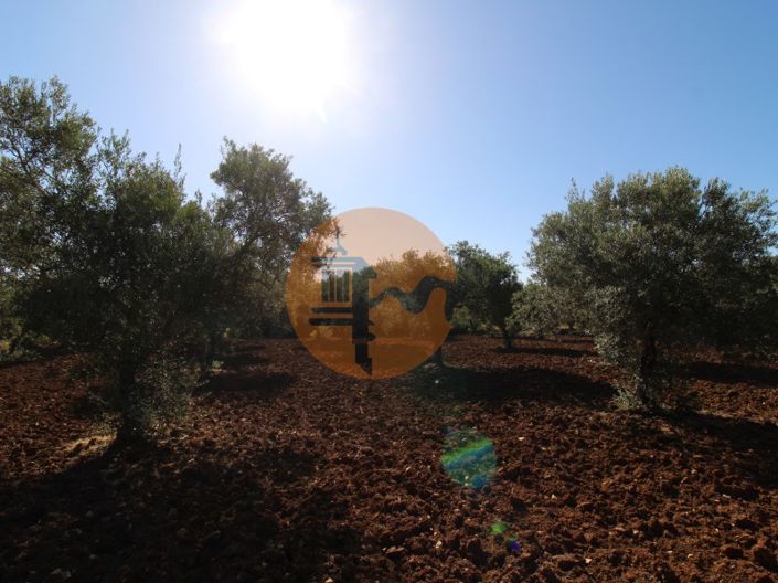 Image No.18-Terrain à vendre à Faro City