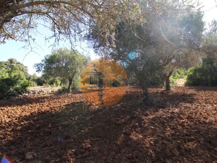 Image No.19-Terrain à vendre à Faro City