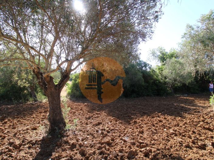 Image No.21-Terrain à vendre à Faro City