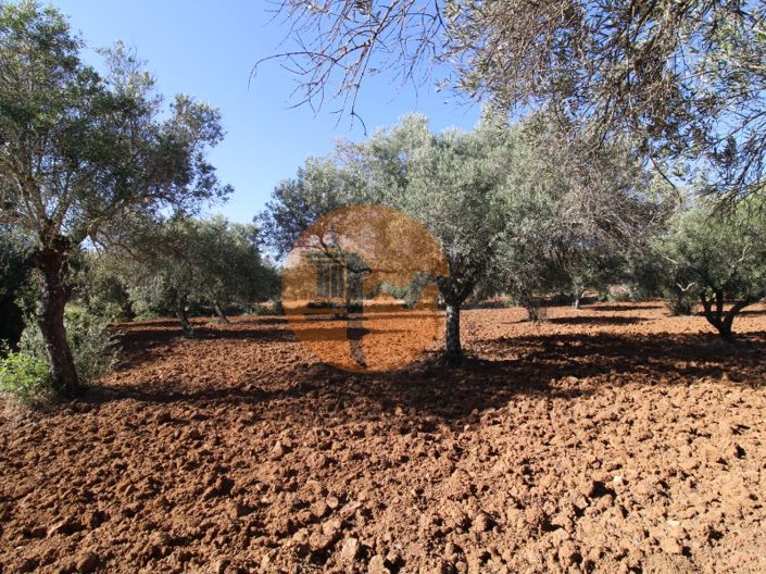 Image No.22-Terrain à vendre à Faro City