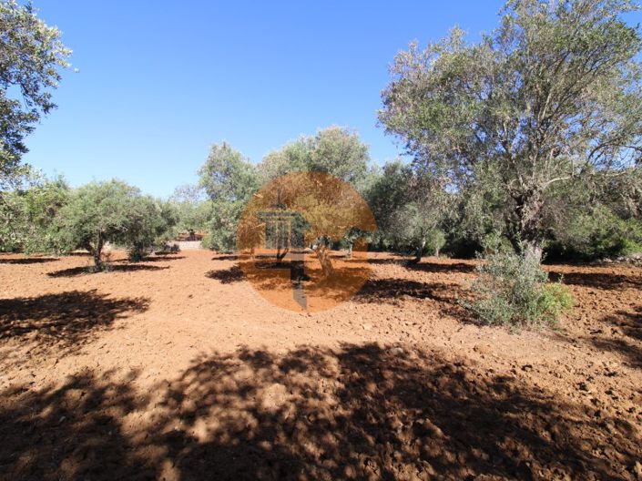 Image No.23-Terrain à vendre à Faro City