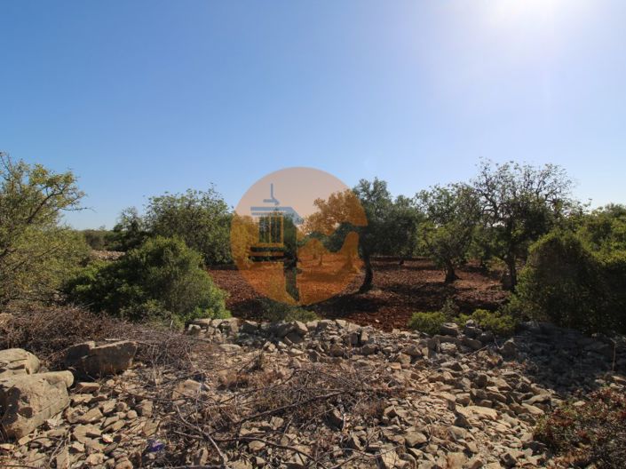 Image No.24-Terrain à vendre à Faro City