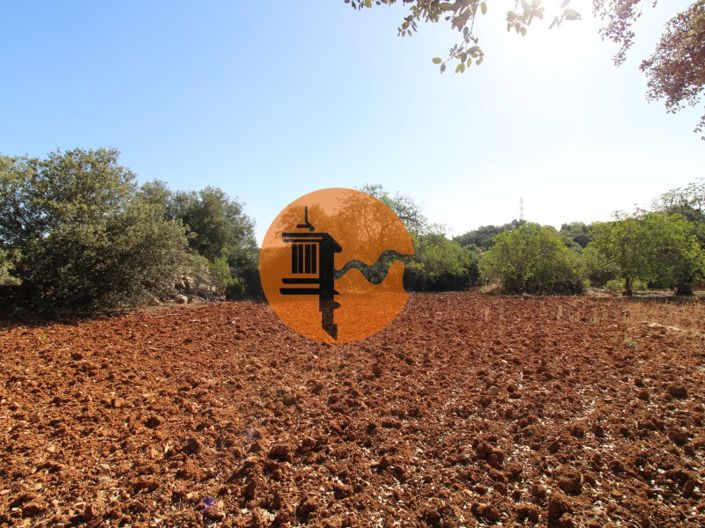 Image No.3-Terrain à vendre à Faro City