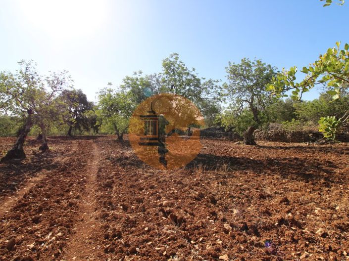 Image No.5-Terrain à vendre à Faro City