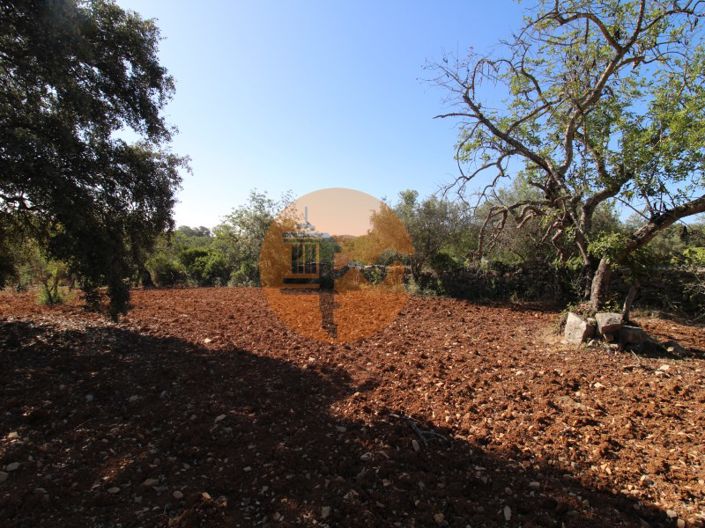 Image No.7-Terrain à vendre à Faro City