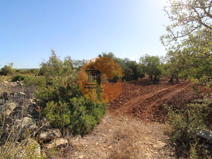 Image No.9-Terrain à vendre à Faro City