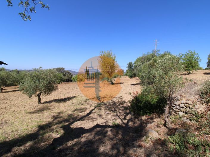 Image No.10-Plot for sale