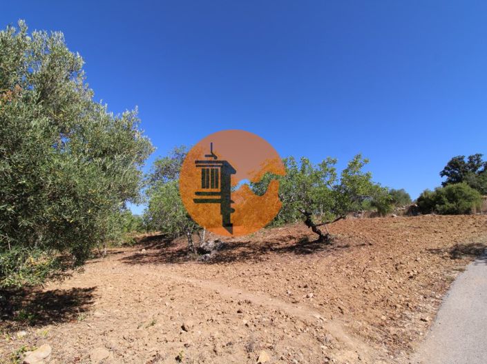 Image No.11-Plot for sale