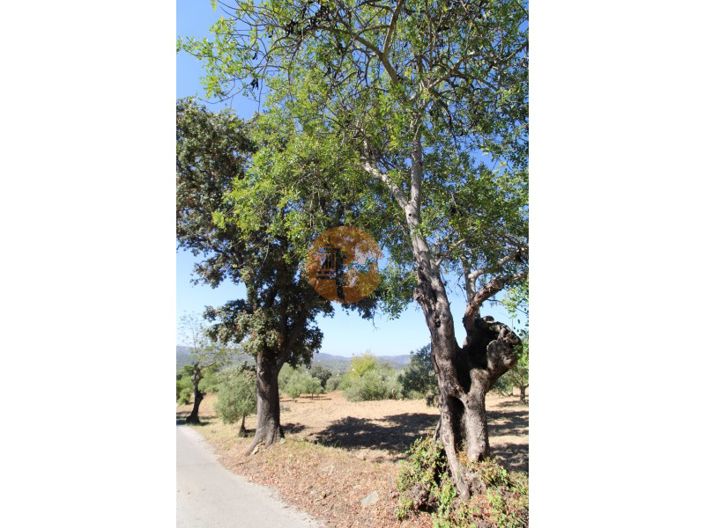 Image No.12-Plot for sale