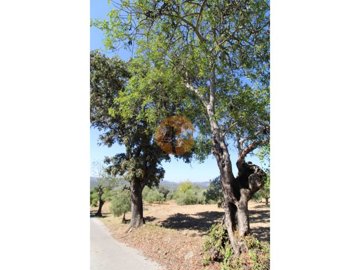 id0d286f01-0000-0500-0000-000011af8fc9