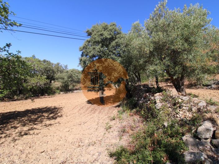 Image No.13-Plot for sale