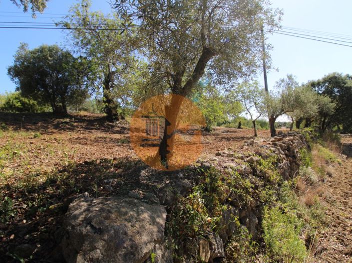 Image No.14-Plot for sale