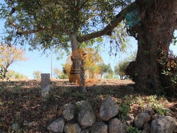 id0d286f01-0000-0500-0000-000011af8fd6