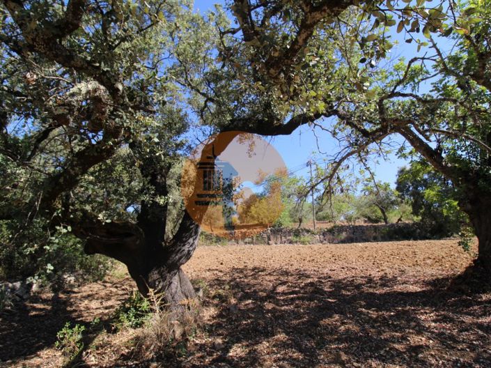 Image No.16-Plot for sale