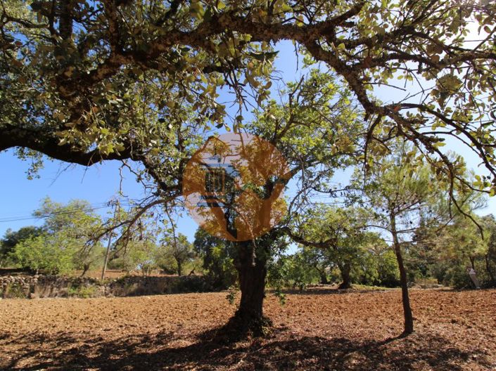 Image No.17-Plot for sale