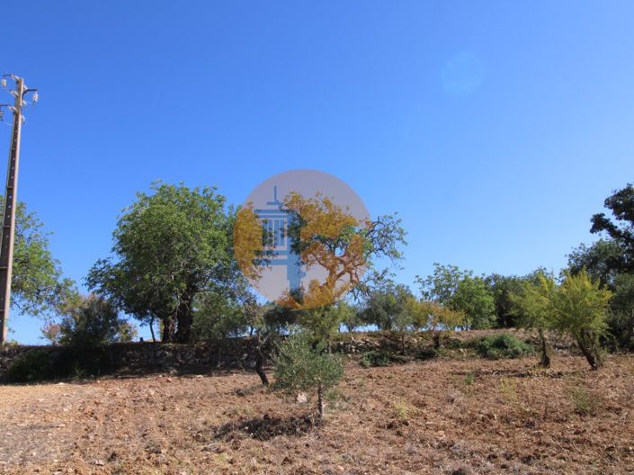 Image No.18-Plot for sale