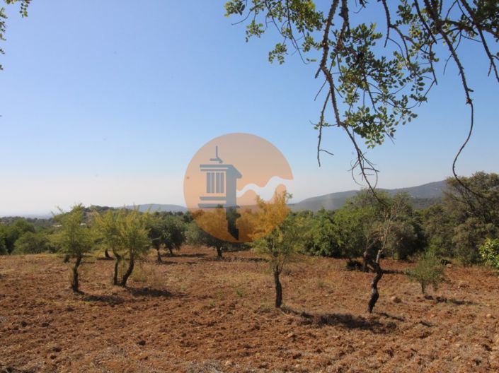 Image No.19-Plot for sale