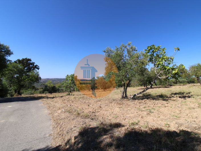 Image No.2-Plot for sale