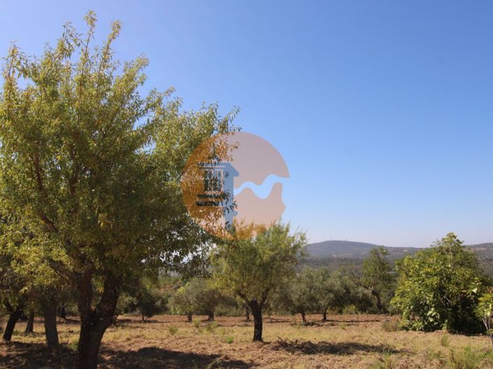 Image No.20-Plot for sale