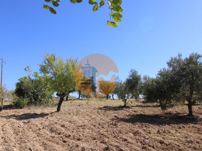 Image No.21-Plot for sale