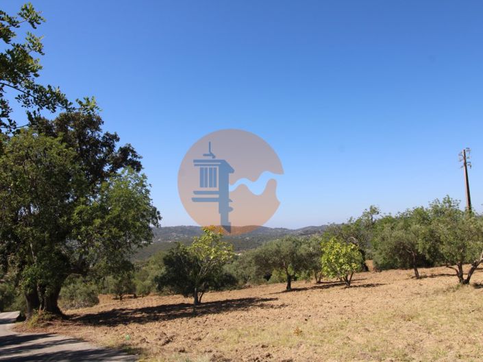 Image No.23-Plot for sale