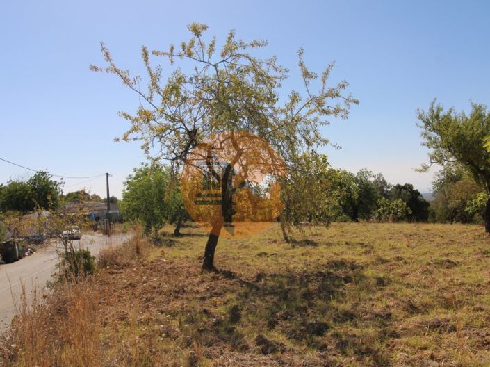 Image No.24-Plot for sale