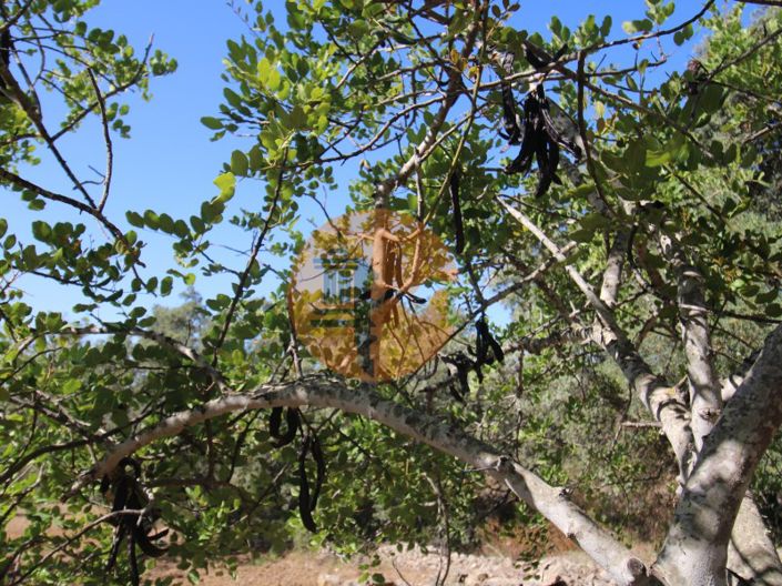 Image No.25-Plot for sale