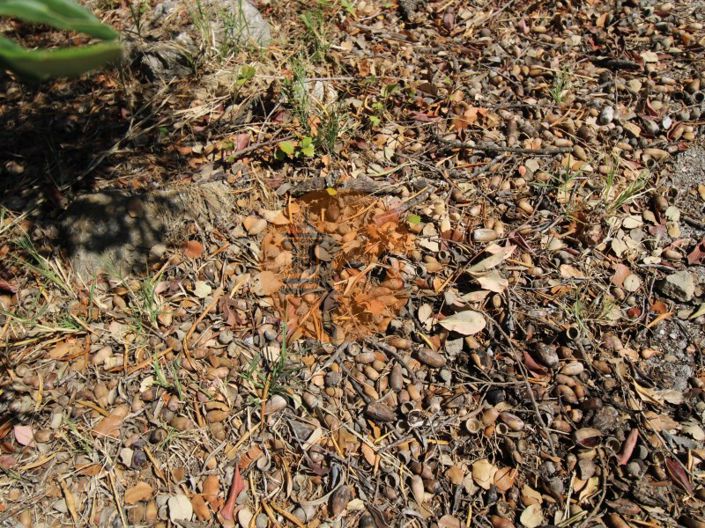 Image No.29-Plot for sale