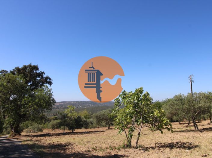 Image No.3-Plot for sale