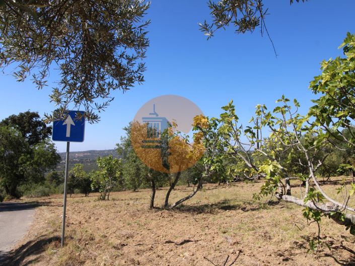 Image No.32-Plot for sale