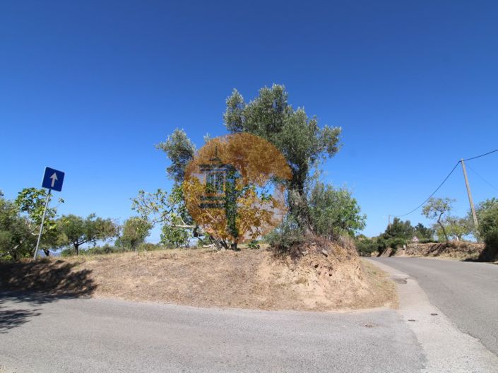 Image No.4-Plot for sale