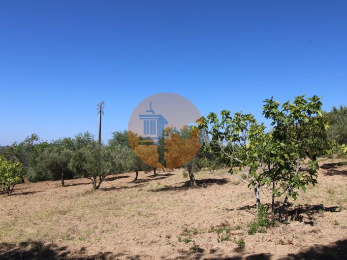 Image No.5-Plot for sale