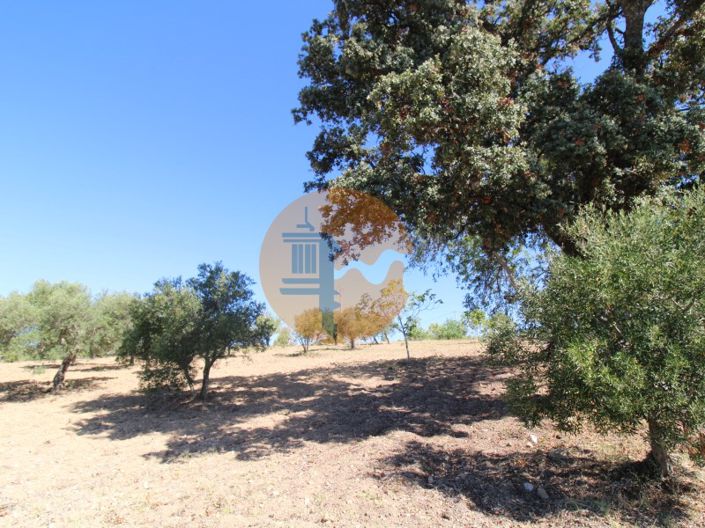 Image No.7-Plot for sale