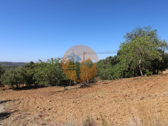 Image No.8-Plot for sale